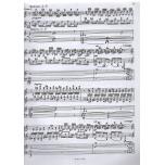 拉赫瑪尼諾夫第一鋼琴協奏曲〈雙鋼琴〉〈掃碼聽音頻〉