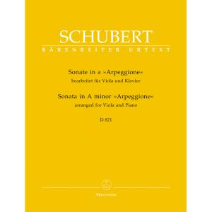 Franz Schubert : Arpeggione Sonata in A minor, D. ...
