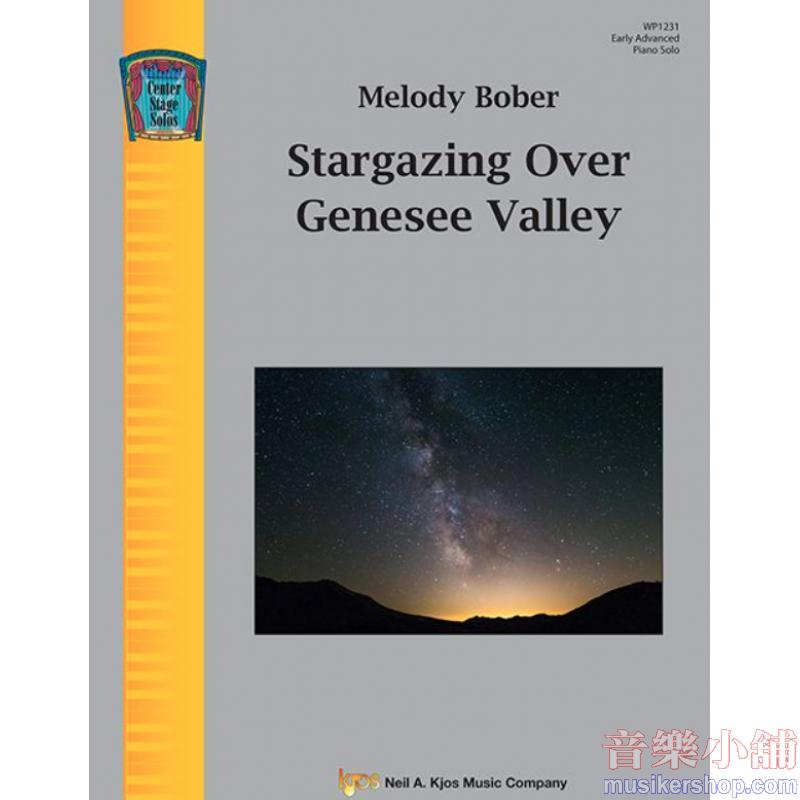 Melody Bober : Stargazing Over Genesee Valley
