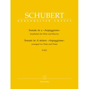 Franz Schubert : Sonata in A Minor D 821 "Arpeggio...